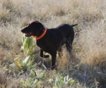 BAYLEE
